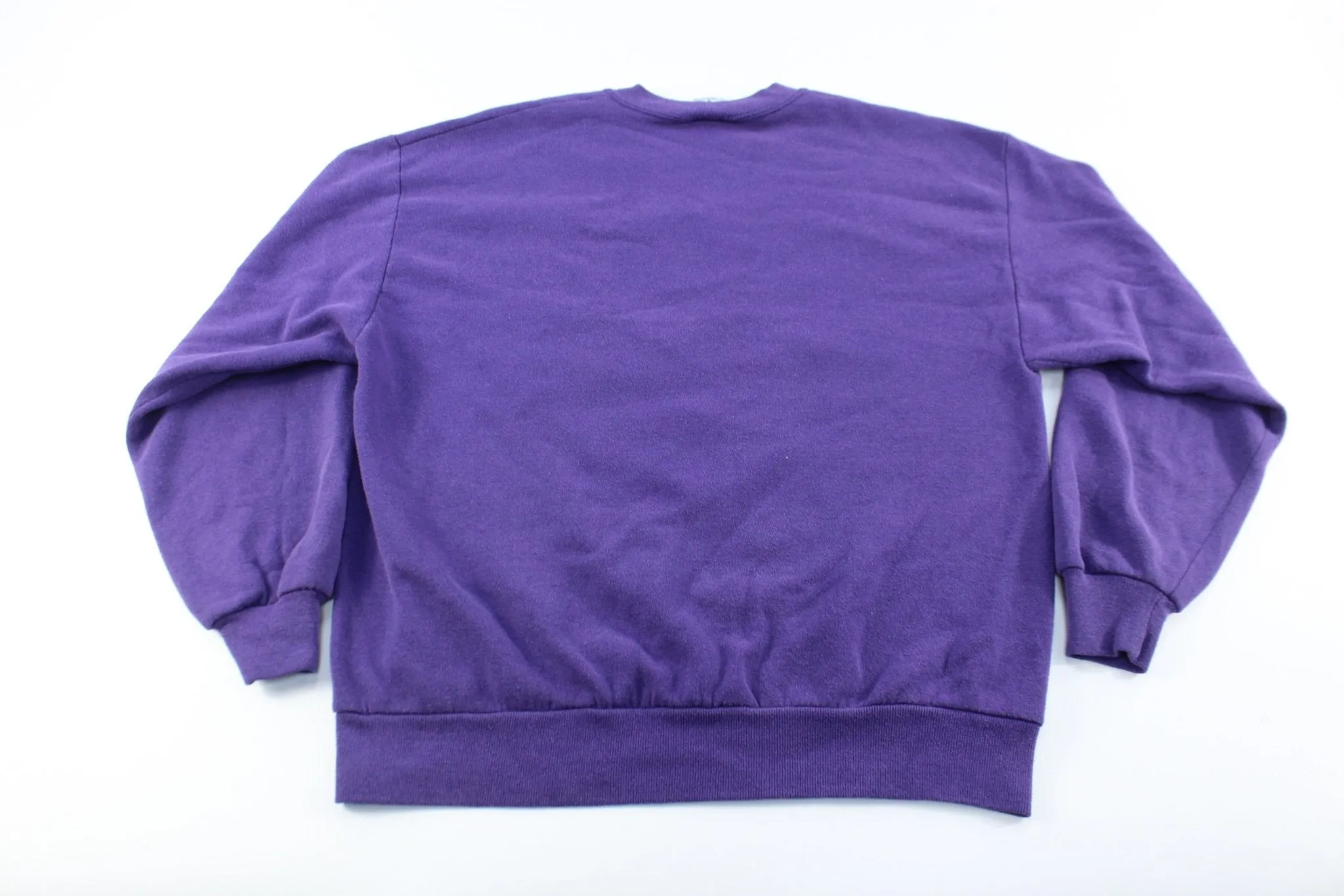 1990 Dove Dreamcatcher Graphic Sweatshirt